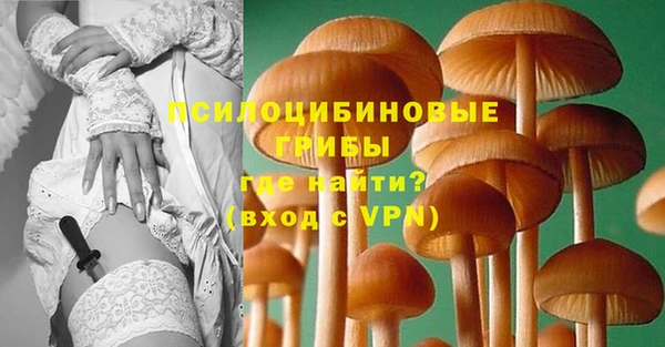 мет Богданович